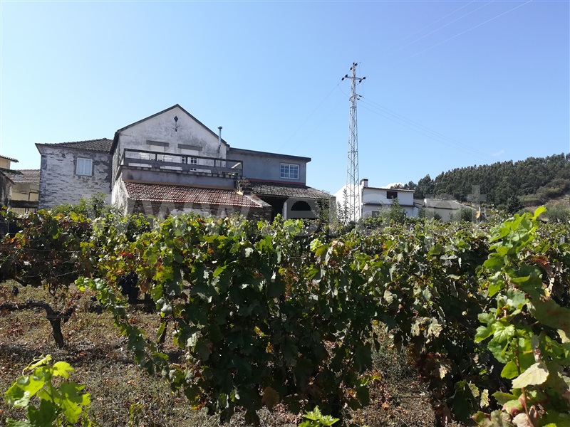 Quinta T5 Peso da Régua, Fontelas - 1176919 - 19