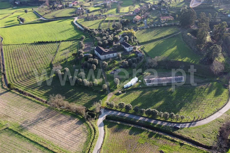 Quinta T5 / Ponte de Lima, Gemieira