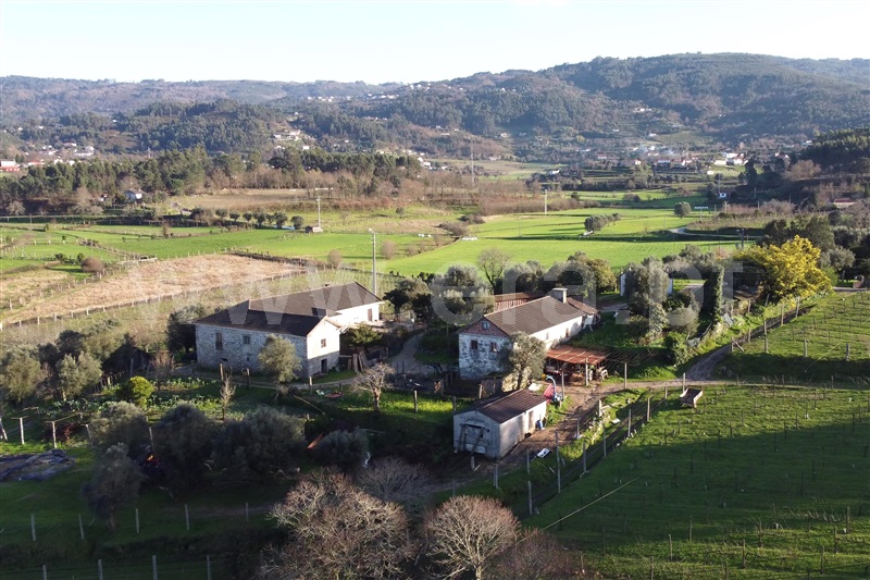 Quinta  Ponte de Lima, Gemieira - 1460443 - 5
