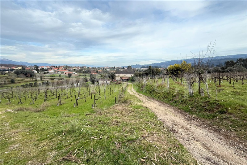 Quinta  Ponte de Lima, Gemieira - 1460443 - 9