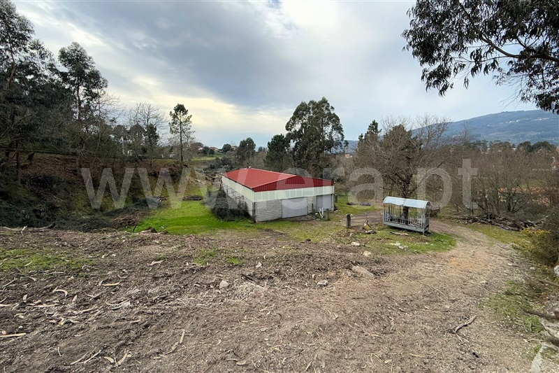 Quinta  Ponte de Lima, Gemieira - 1460443 - 10