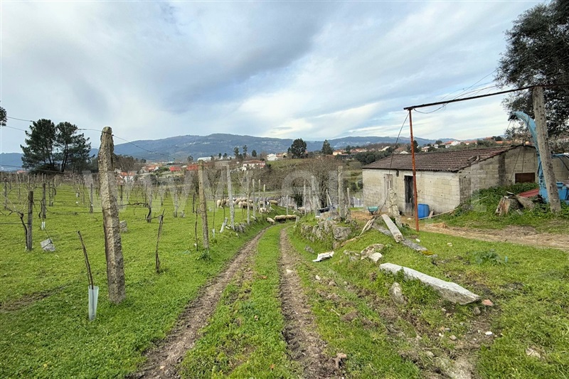 Quinta  Ponte de Lima, Gemieira - 1460443 - 11
