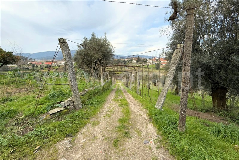 Quinta  Ponte de Lima, Gemieira - 1460443 - 14