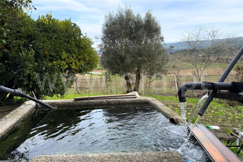 Quinta  Ponte de Lima, Gemieira - 1460443 - 16
