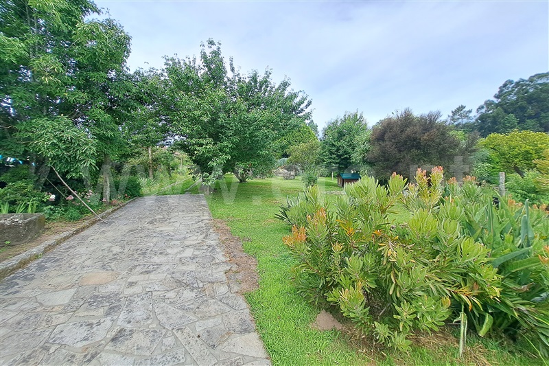 Quinta T5 Ponte de Lima, Santa Comba - 1336496 - 4