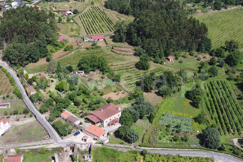 Quinta T5 / Ponte de Lima, Santa Comba