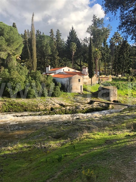 Quinta T5 / Ponte de Sor, Ponte de Sor, Tramaga e Vale de Açor