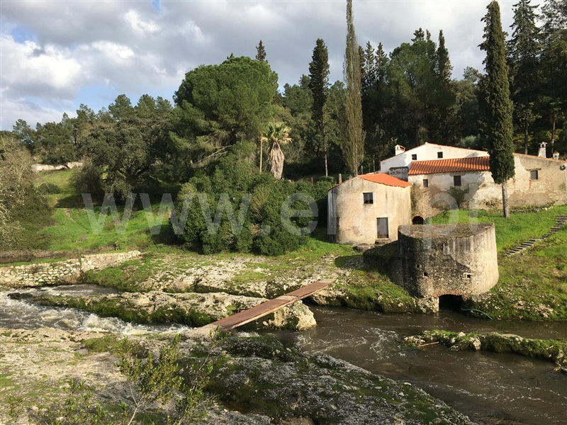 Quinta T5 Ponte de Sor, Ponte de Sor, Tramaga e Vale de Açor - 1412503 - 4