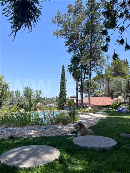 Quinta T5 Ponte de Sor, Ponte de Sor, Tramaga e Vale de Açor - 1412503 - 7
