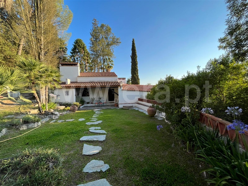 Quinta T5 Ponte de Sor, Ponte de Sor, Tramaga e Vale de Açor - 1412503 - 18