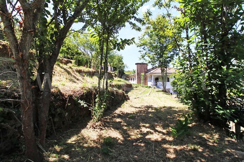 Quinta T5 Santo Tirso, Roriz - 1185618 - 42