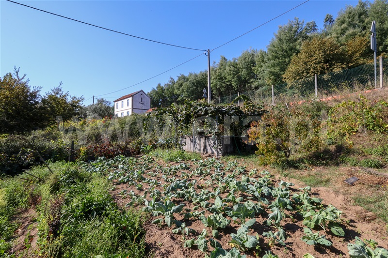 Quinta T5 Tondela, Mouraz e Vila Nova da Rainha - 1510581 - 4