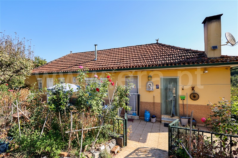 Quinta T5 / Tondela, Mouraz e Vila Nova da Rainha