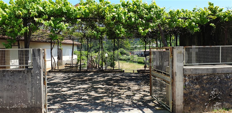 Quinta T5 Valença, Cerdal - 1333401 - 21