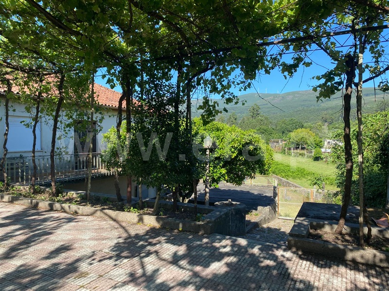 Quinta T5 / Valença, Cerdal