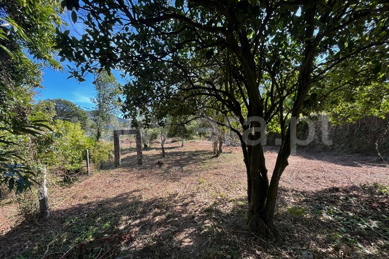 Quinta T5 Vila Verde, Ribeira do Neiva - 1344959 - 6