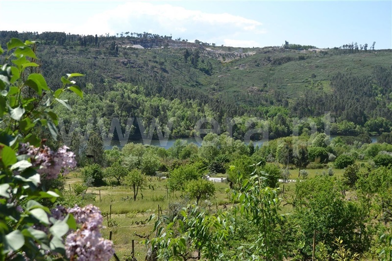 Quinta T5 Viseu, Povolide - 701519 - 12