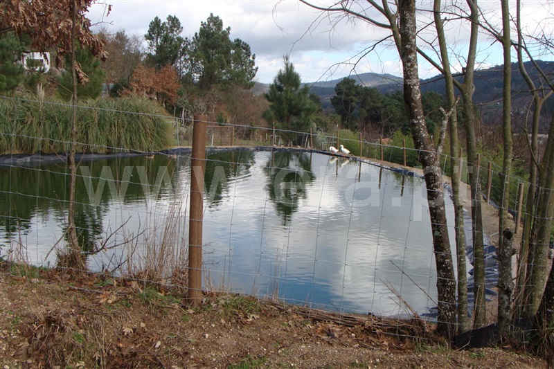 Quinta T5 Viseu, Povolide - 701519 - 19