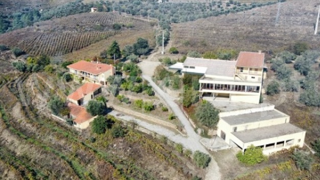 Quinta T6 / Alijó, Castedo e Cotas