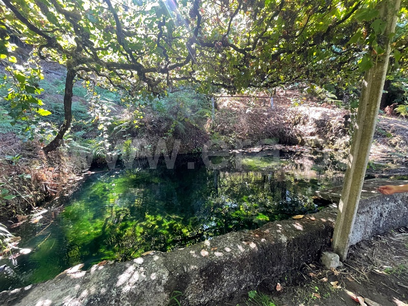 Quinta T6 Amarante, Aboadela, Sanche e Várzea - 1426539 - 32