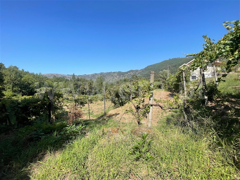Quinta T6 Amarante, Aboadela, Sanche e Várzea - 1426539 - 33