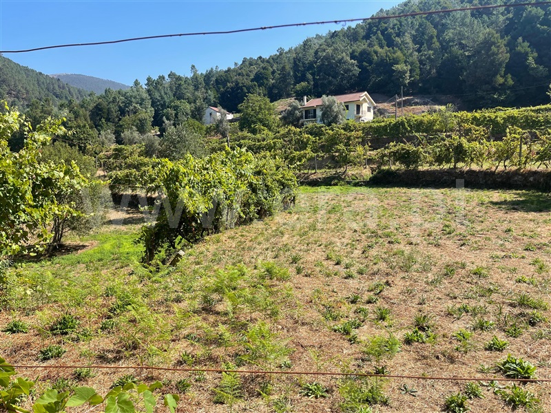 Quinta T6 Amarante, Aboadela, Sanche e Várzea - 1426539 - 34