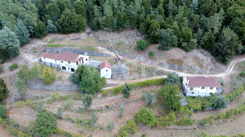 Quinta T6 Amarante, Aboadela, Sanche e Várzea - 1426539 - 39