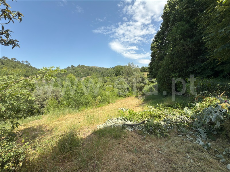 Quinta T6 Celorico da Beira, Rapa e Cadafaz - 1483655 - 3