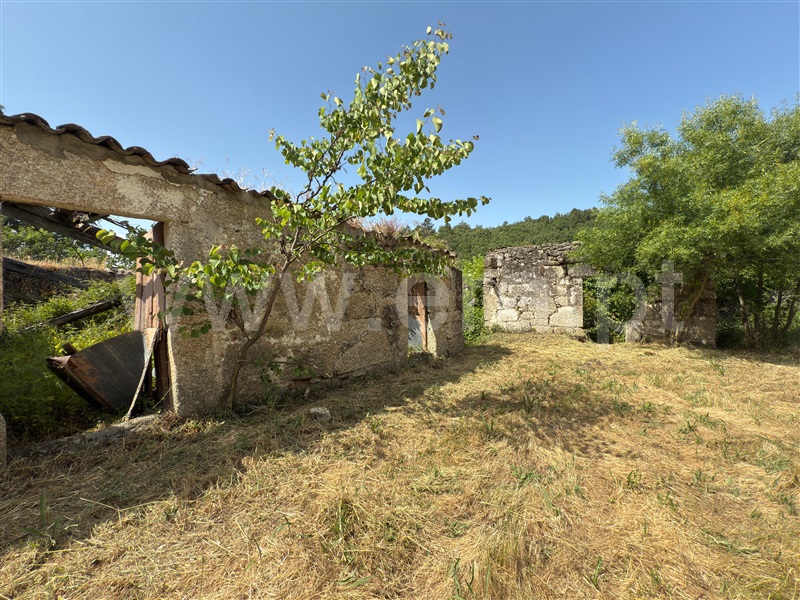Quinta T6 Celorico da Beira, Rapa e Cadafaz - 1483655 - 6