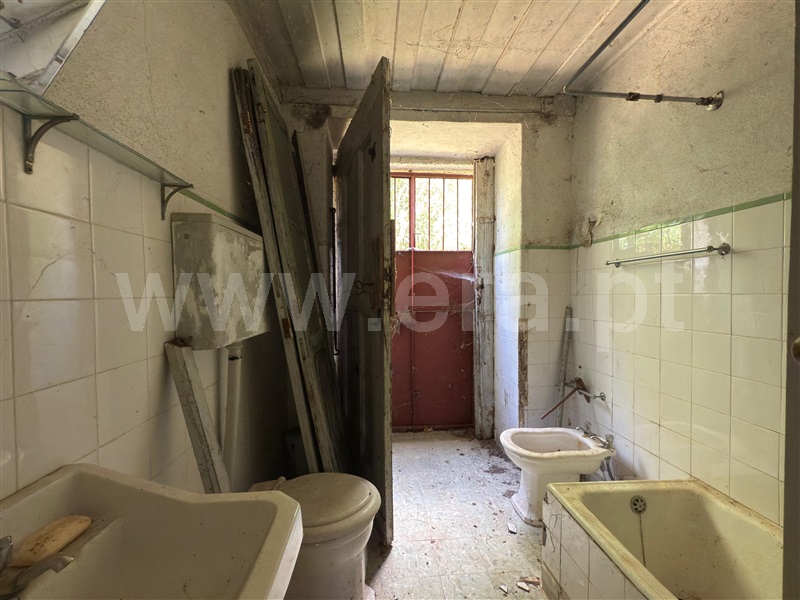 Quinta T6 Celorico da Beira, Rapa e Cadafaz - 1483655 - 9
