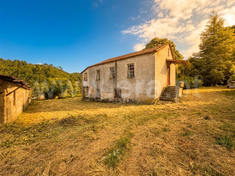Quinta T6 / Celorico da Beira, Rapa e Cadafaz