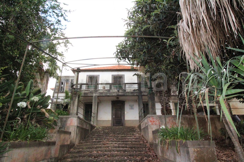 Quinta T6 / Funchal, São Roque