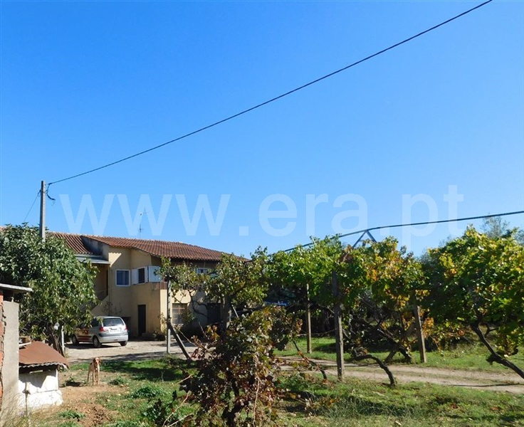 Quinta T6 / Fundão, Valverde