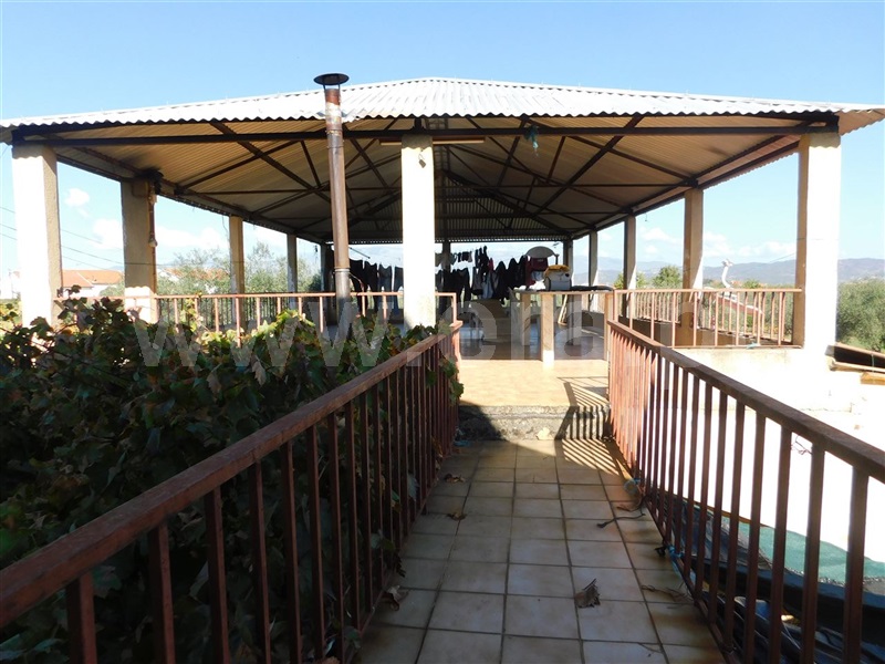 Quinta T6 Fundão, Valverde - 1288013 - 19