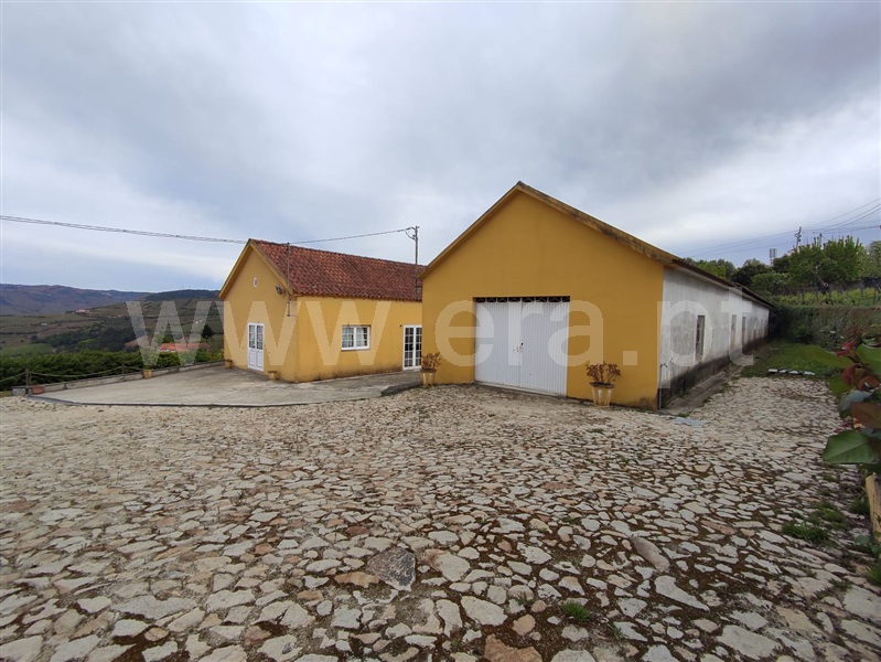 Quinta T6 Lamego, Cambres - 1164095 - 3