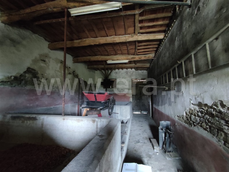 Quinta T6 Lamego, Cambres - 1164095 - 19