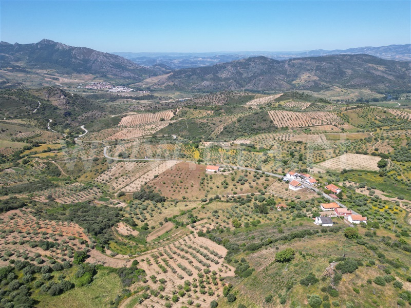 Quinta T6 Mirandela, Frechas - 1489075 - 3