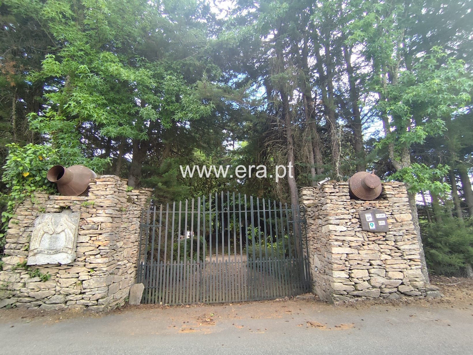 Quinta T6 / Moimenta da Beira, Leomil