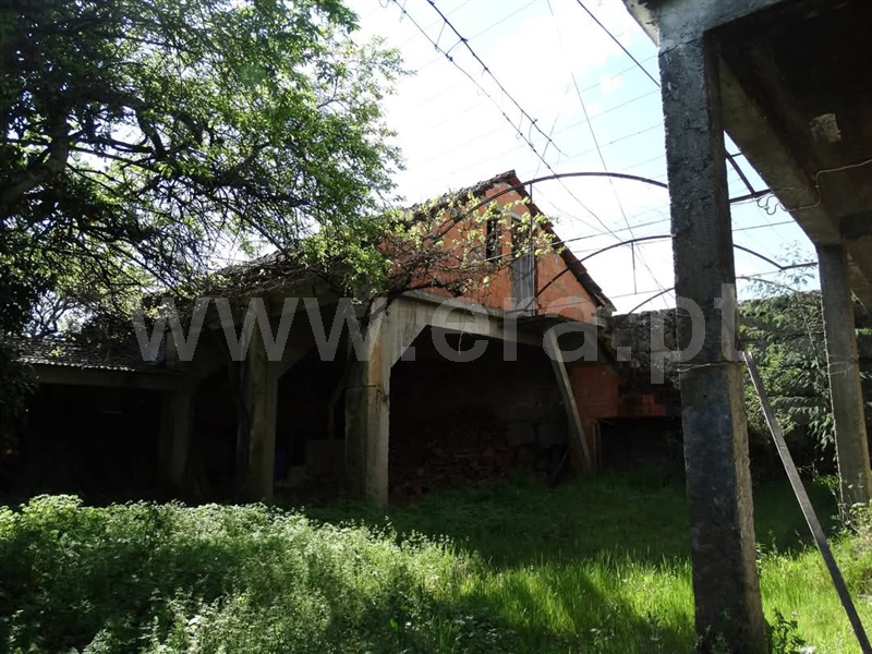Quinta T5 com Agrícola Nelas, Senhorim - 1465051 - 5