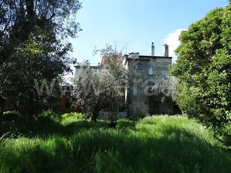 Quinta T5 com Agrícola Nelas, Senhorim - 1465051 - 7