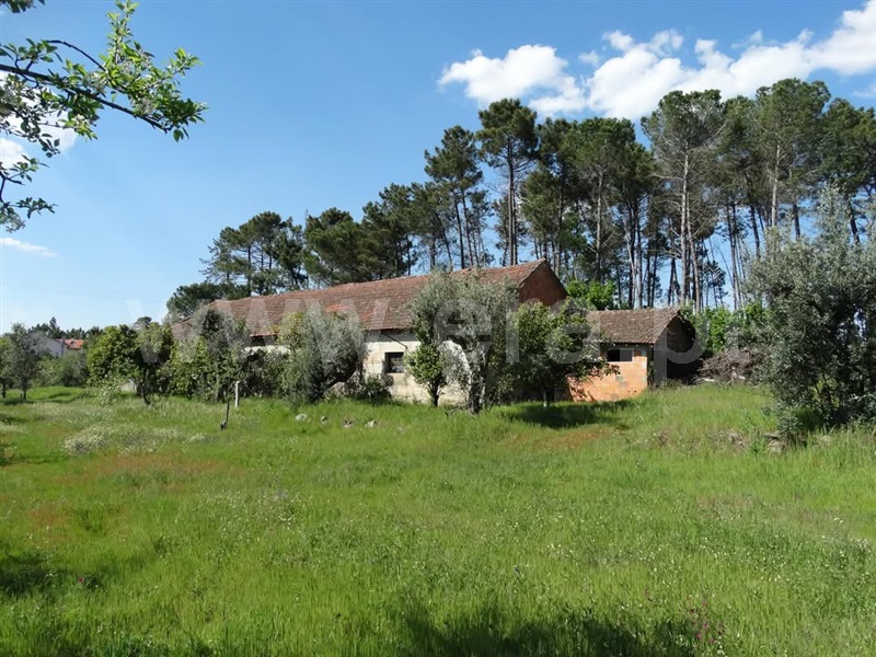 Quinta T6 / Nelas, Senhorim