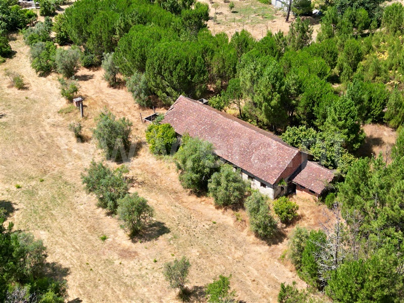 Quinta T6 com Agrícola Nelas, Senhorim - 1465051 - 11