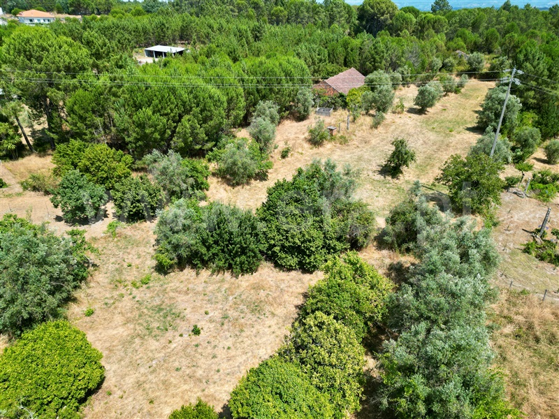 Quinta T6 com Agrícola Nelas, Senhorim - 1465051 - 12