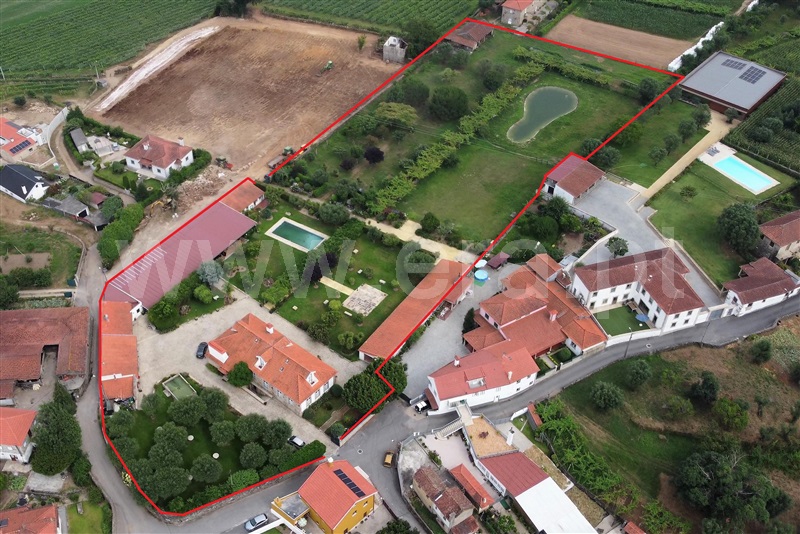 Quinta T6 Ponte de Lima, Correlhã - 1331283 - 6
