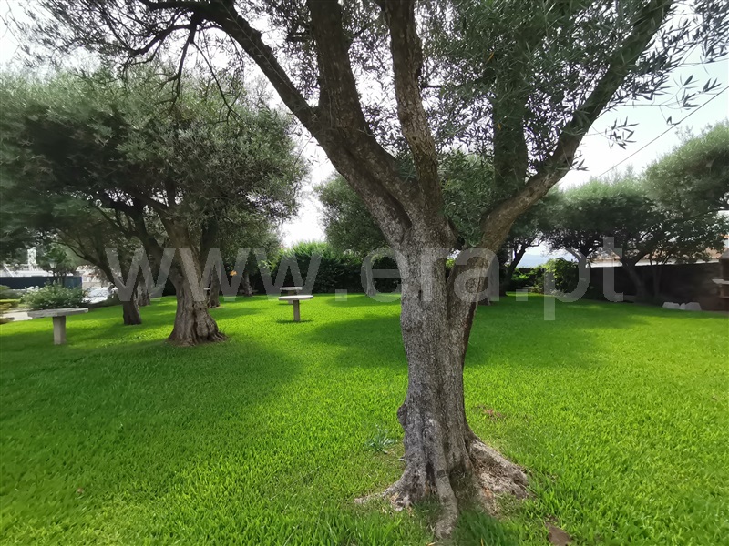 Quinta T6 Ponte de Lima, Correlhã - 1331283 - 12