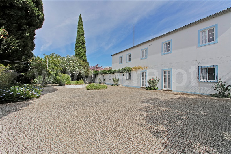 Quinta T6 / Portel, Portel