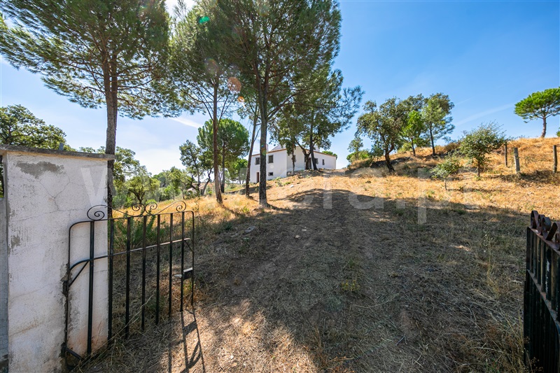 Quinta T6 Redondo - 1113930 - 2