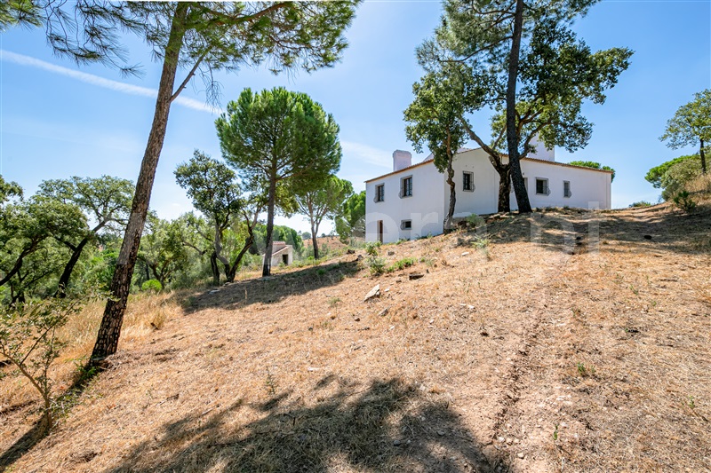Quinta T6 Redondo - 1113930 - 4