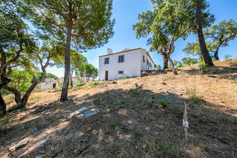 Quinta T6 Redondo - 1113930 - 5