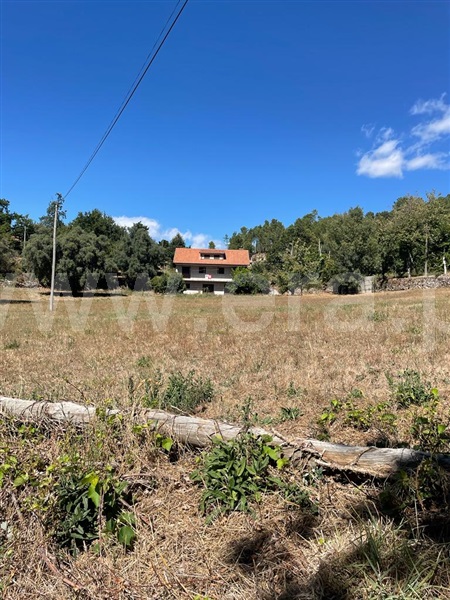 Quinta T6 Ribeira de Pena, Vila Real - 1325089 - 30